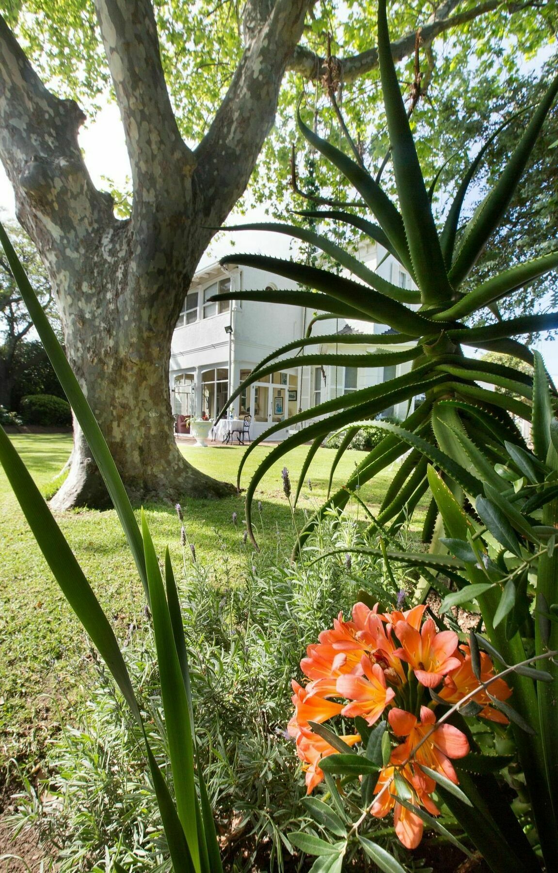 Brooklands House Hotel Кейптаун Екстериор снимка